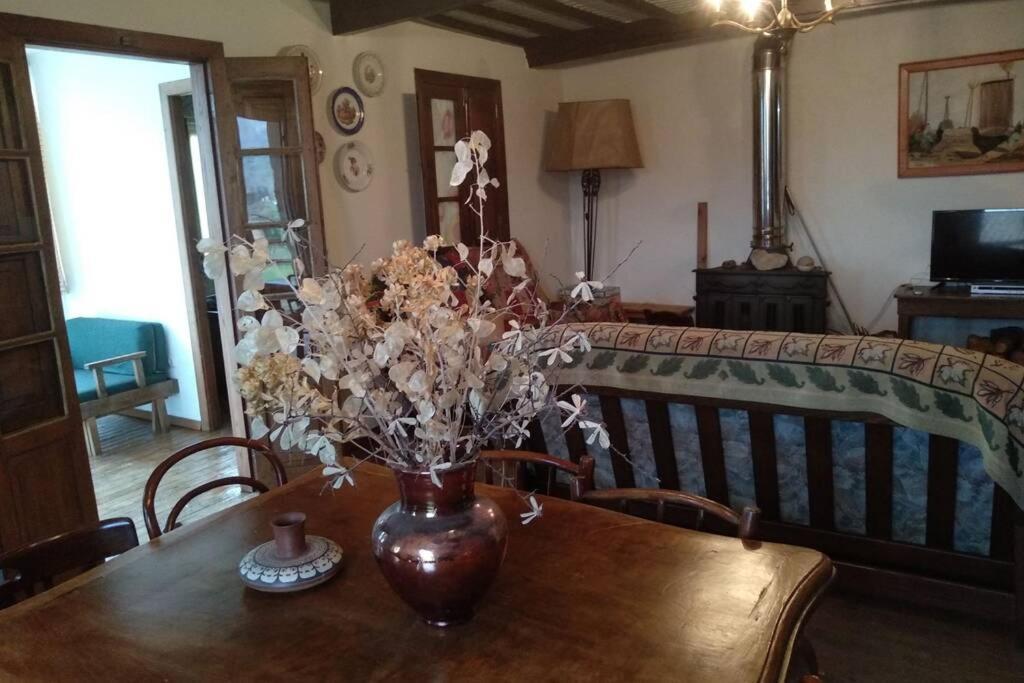 Casa Ribeira Sacra, Ourense, Ninodaguia, Galicia מראה חיצוני תמונה