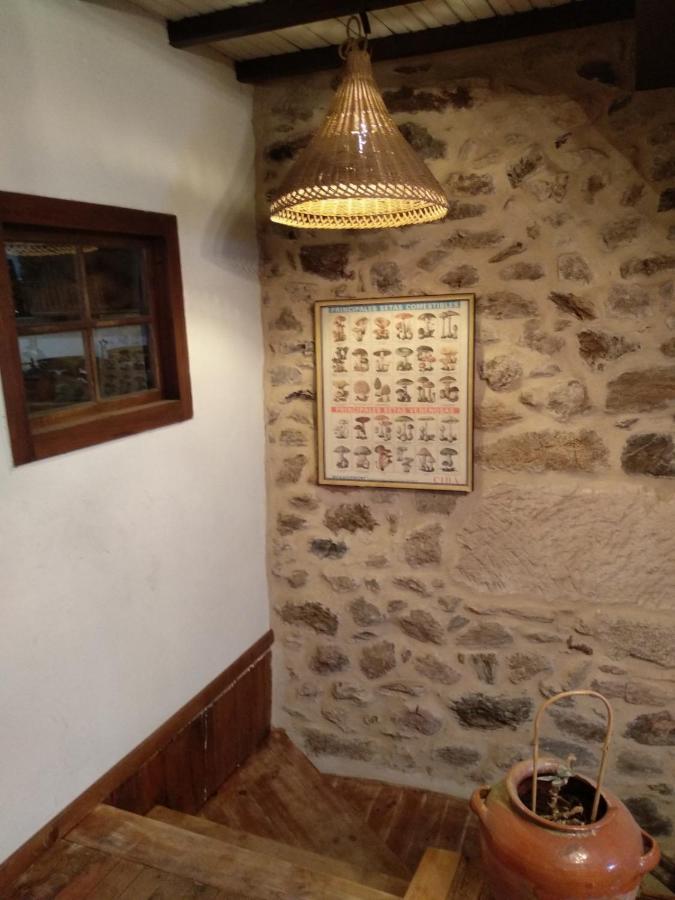 Casa Ribeira Sacra, Ourense, Ninodaguia, Galicia מראה חיצוני תמונה